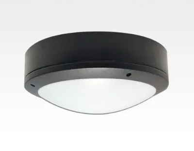 40W LED Wand/Deckenleuchte anthrazit rund Tageslicht Weiß / 6000-6500K 1800lm 230VAC IP65 120Grad